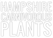 Hampshire carnivorous plants